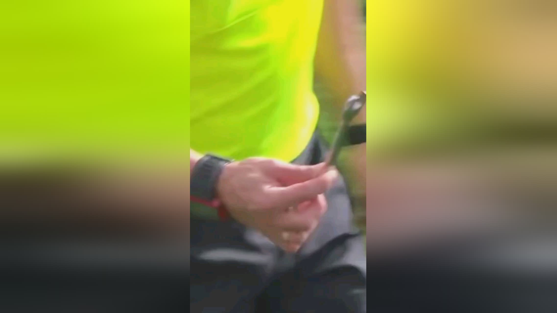 依木兰的